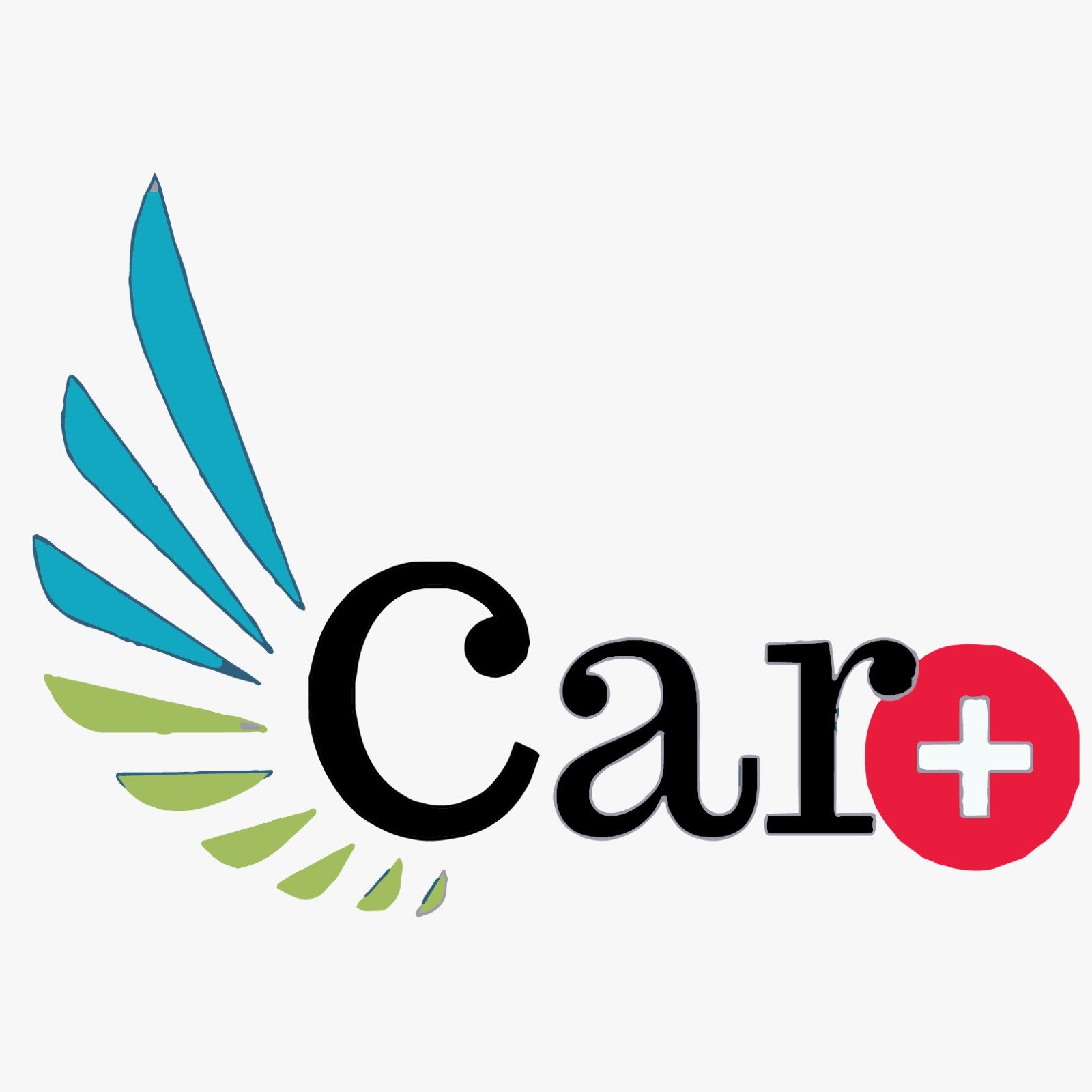 Car plus